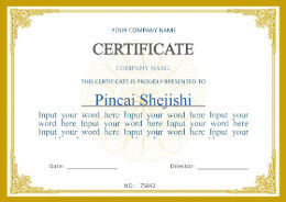 Cina Beijing Silk Road Enterprise Management Services Co.,LTD Certificazioni